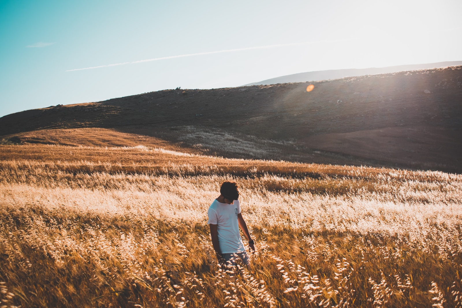 man standing on grasses