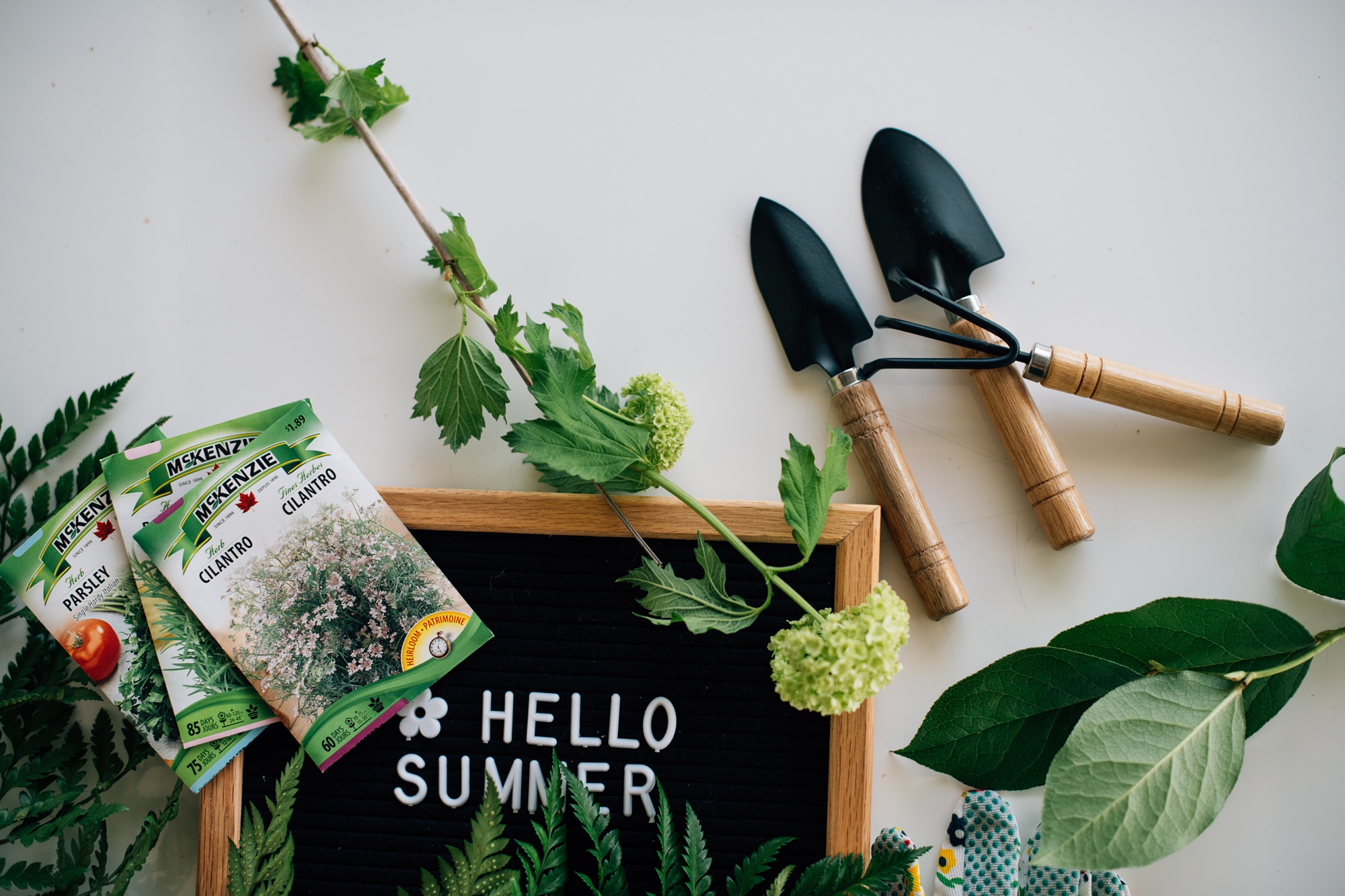 Why we’re better & stronger together & how no woman’s an island of her own