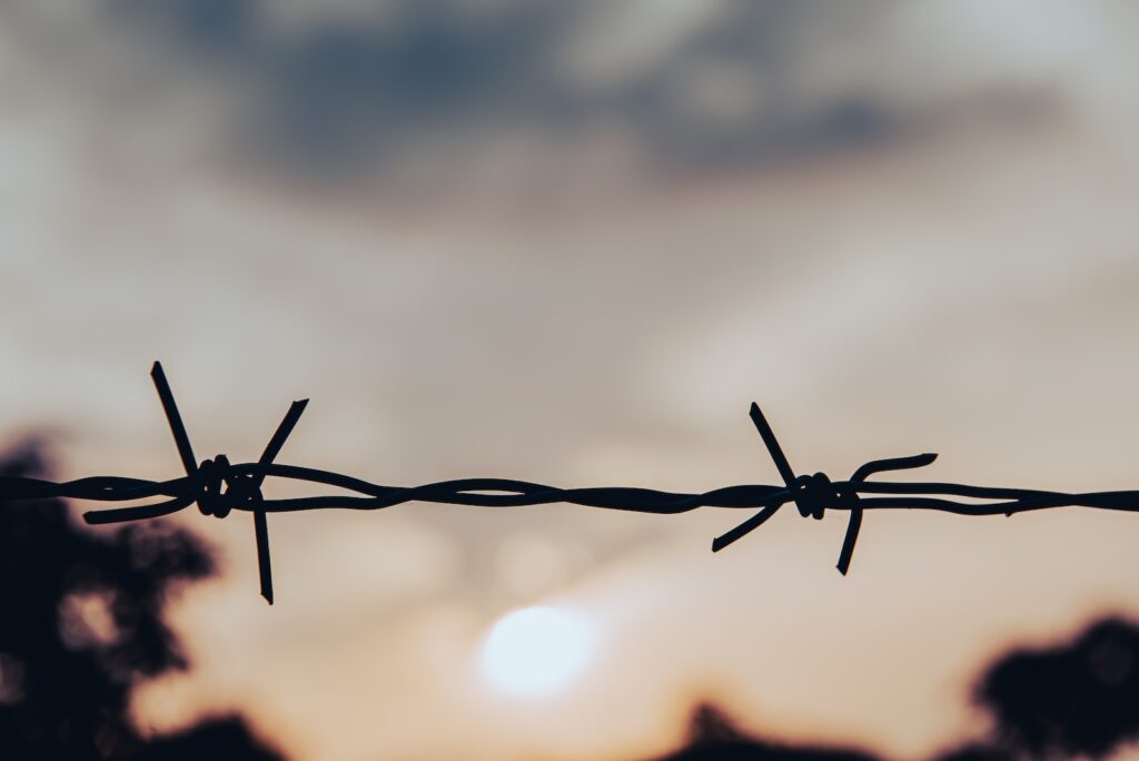 black barb wire in close up photography
